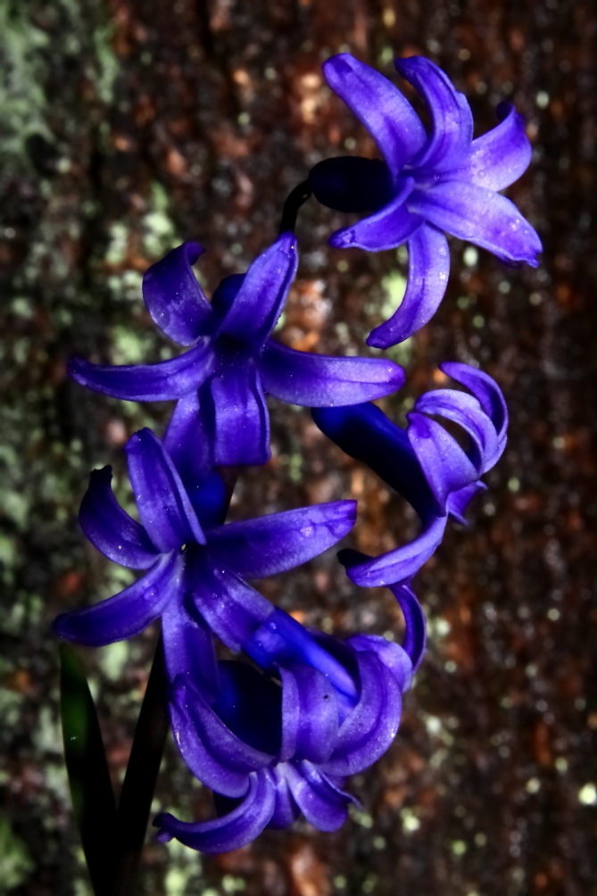 2011 04 13 IMG 27776e